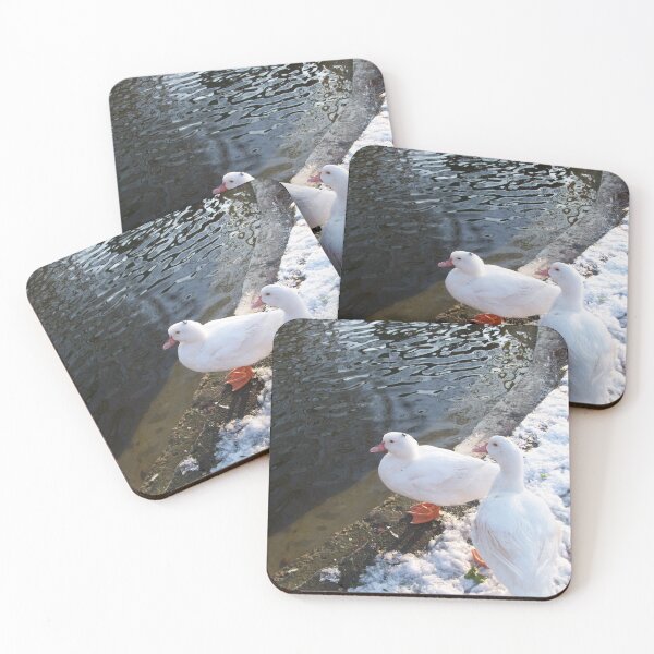 Item preview, WHITE DUCKS WALKING ON THE WINTER SNOW TUSCANY FLORENCE Photo designed and sold by BulganLumini.