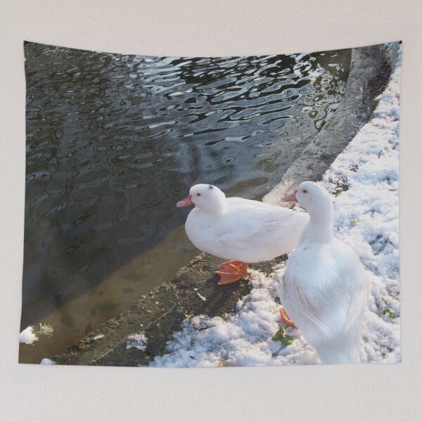 Item preview, WHITE DUCKS WALKING ON THE WINTER SNOW TUSCANY FLORENCE Photo designed and sold by BulganLumini.