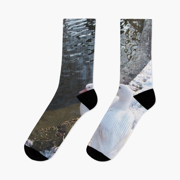 Item preview, WHITE DUCKS WALKING ON THE WINTER SNOW TUSCANY FLORENCE Photo designed and sold by BulganLumini.