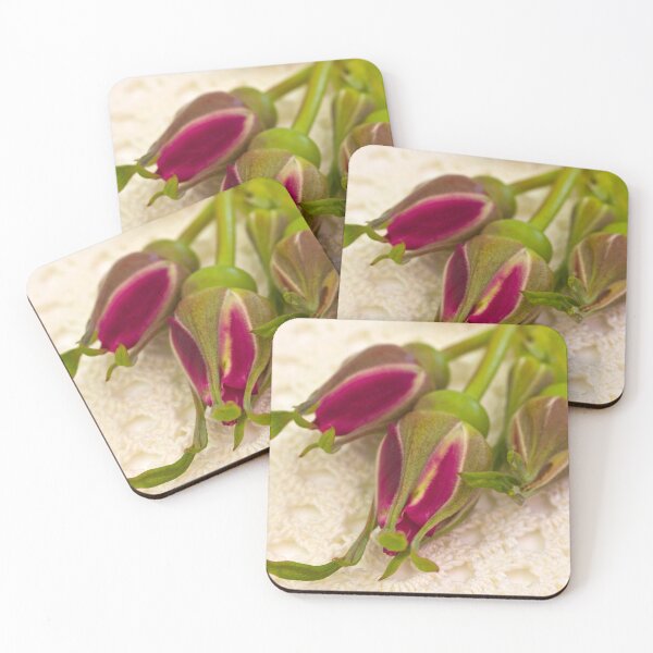 Item preview, Hansa Rose Buds designed and sold by Sandra Foster.