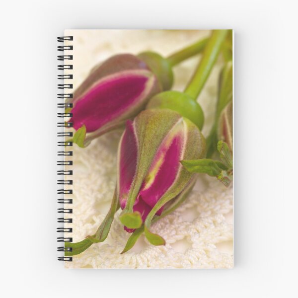 Item preview, Hansa Rose Buds designed and sold by Sandra Foster.
