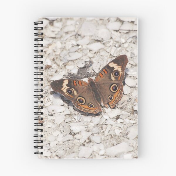 Item preview, Common Buckeye Butterfly at Cayo Costa designed and sold by MinkMaguari.
