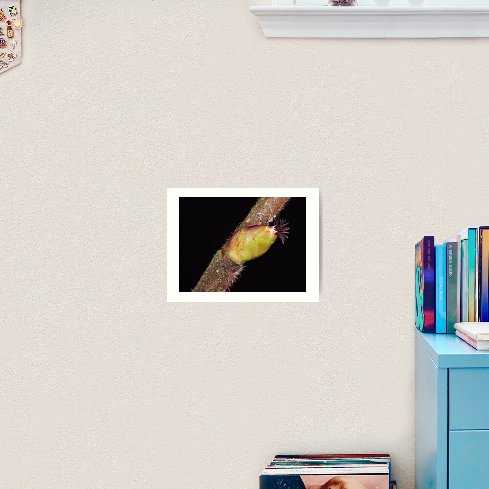 Item preview, Art Print designed and sold by pauleden.