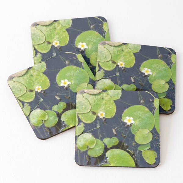 Item preview, Lily pads designed and sold by TabithaMalone.