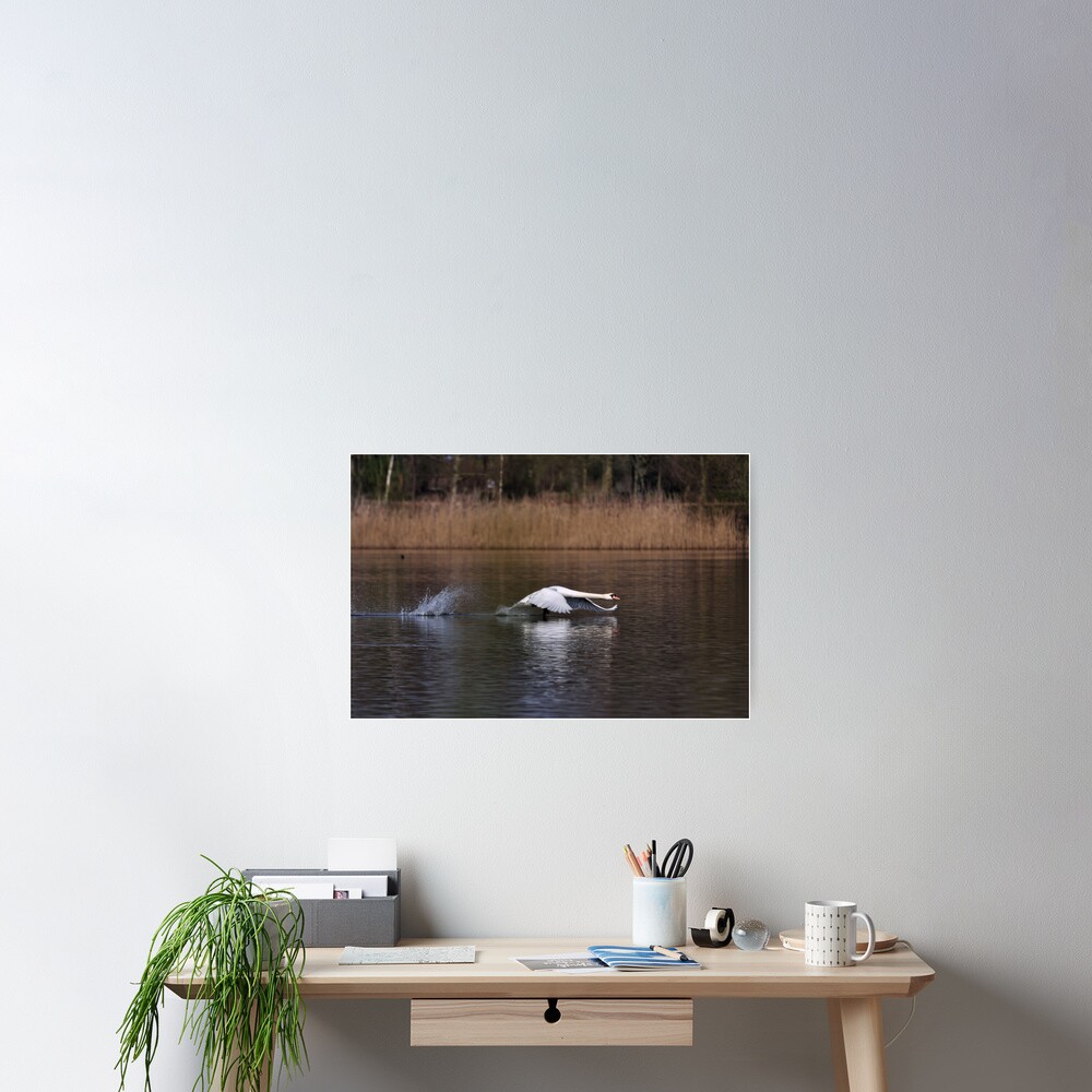 Item preview, Poster designed and sold by pauleden.