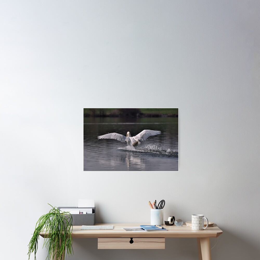 Swan: Landing Poster
