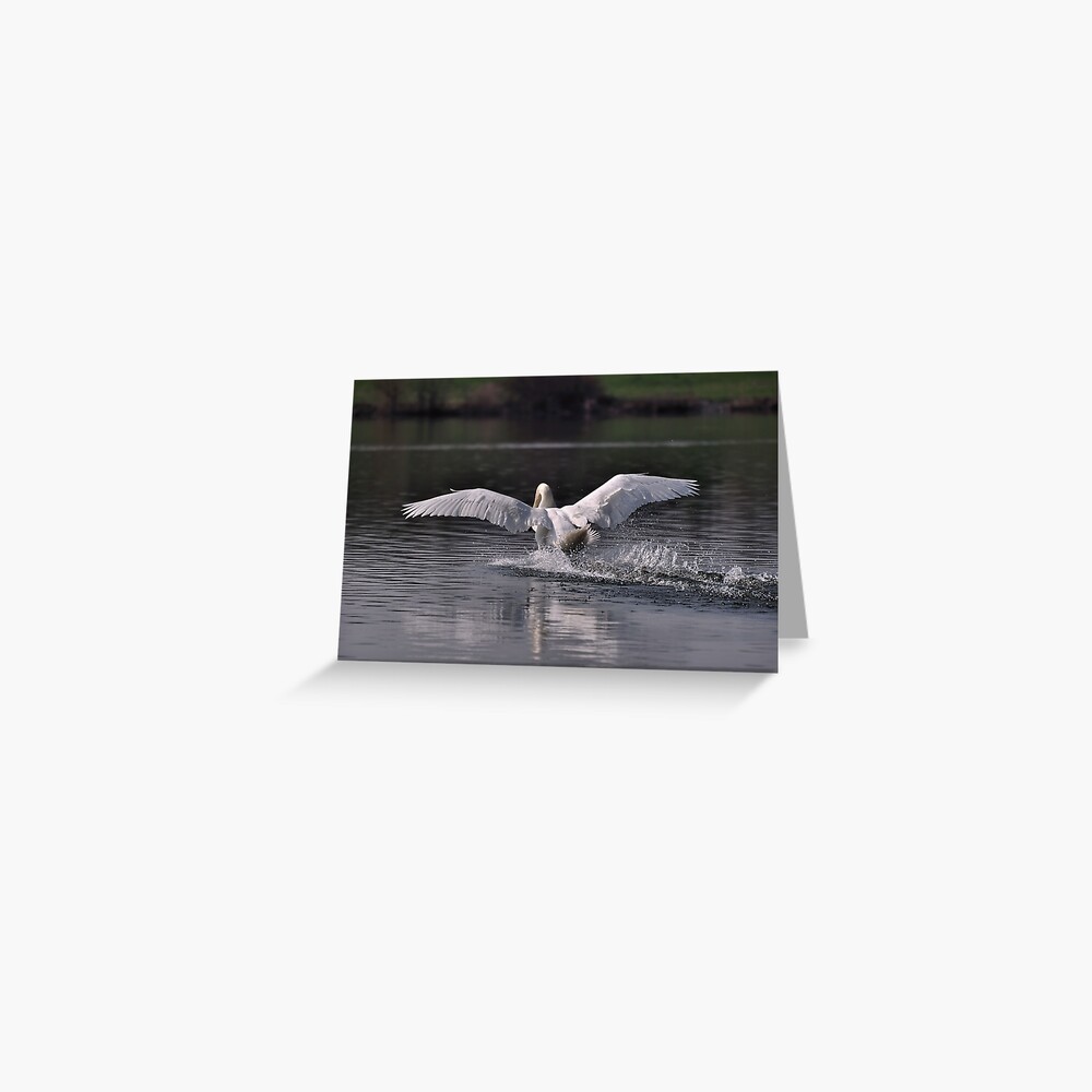 Item preview, Greeting Card designed and sold by pauleden.