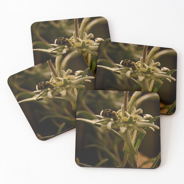 Item preview, Meeting point Edelweiss designed and sold by laura-S.