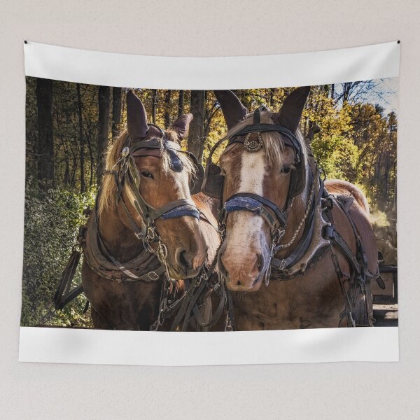 Item preview, Horse Pride 1 designed and sold by Robert Alsop.