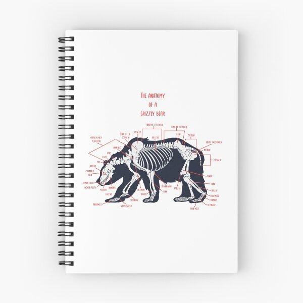 Item preview, Grizzly Bear Anatomy designed and sold by conortravers.