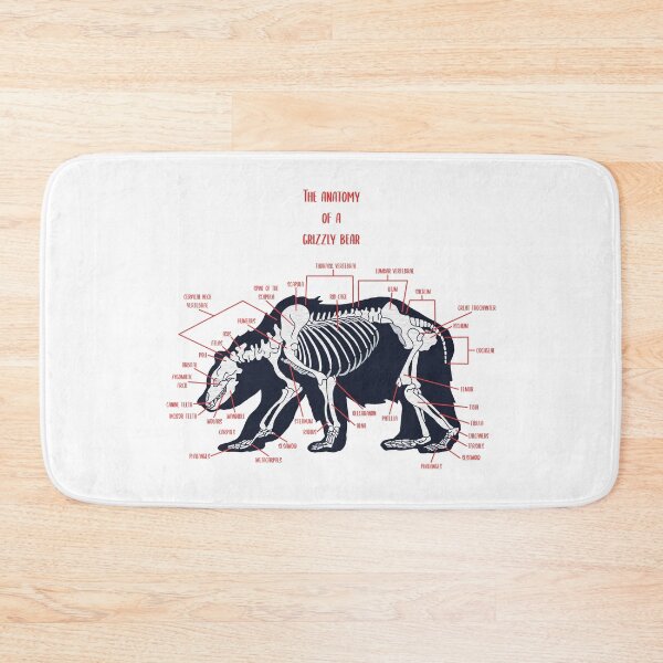 Item preview, Grizzly Bear Anatomy designed and sold by conortravers.