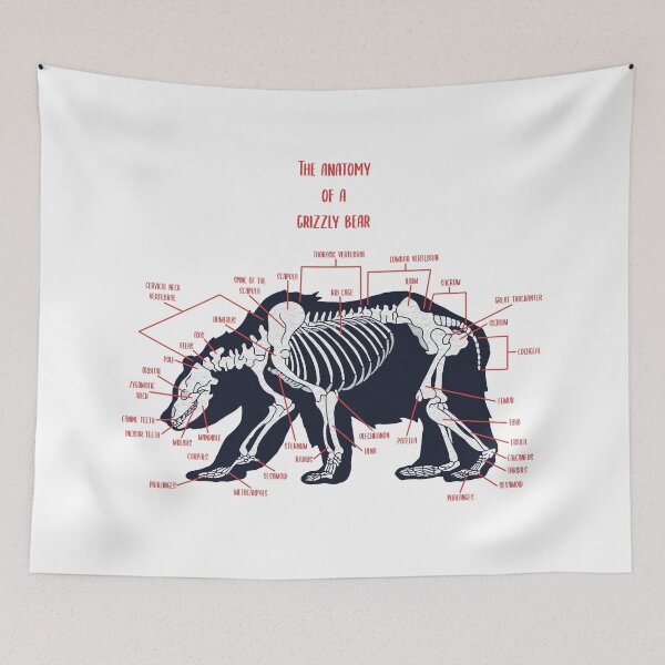 Item preview, Grizzly Bear Anatomy designed and sold by conortravers.