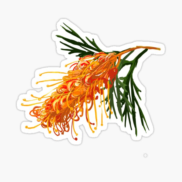 Item preview, Grevillea Golden designed and sold by TimmyGumnut.