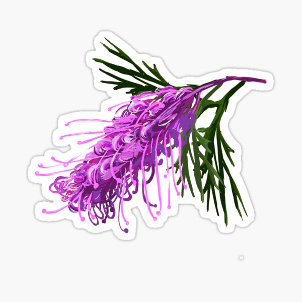 Item preview, Grevillea Purple designed and sold by TimmyGumnut.