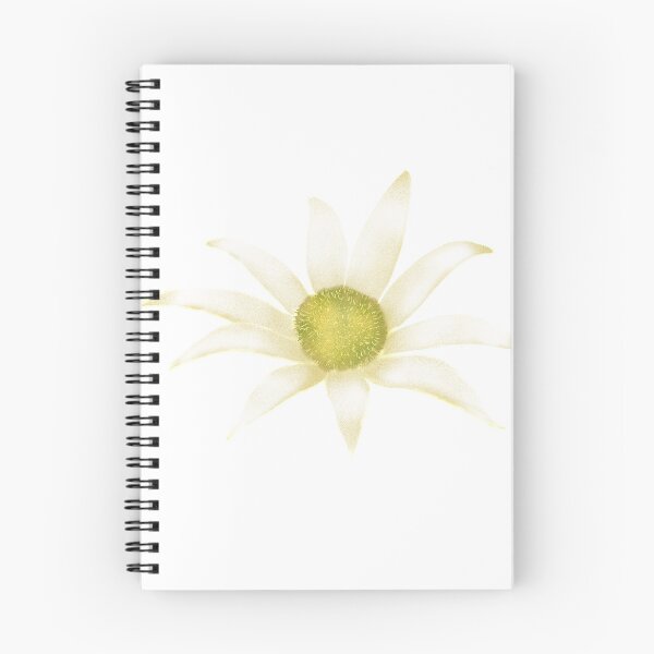 Item preview, Flannel Flower designed and sold by TimmyGumnut.