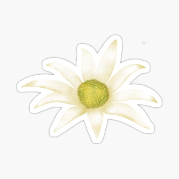 Item preview, Flannel Flower designed and sold by TimmyGumnut.