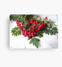 The Rowan Canvas Print