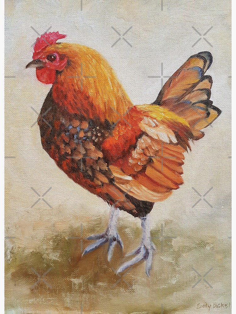 Botánico Teórico Muy lejos Lámina rígida «Pollo - pintura de gallo realista» de EmilyBickell |  Redbubble