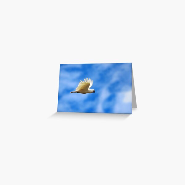 Freedom Greeting Card