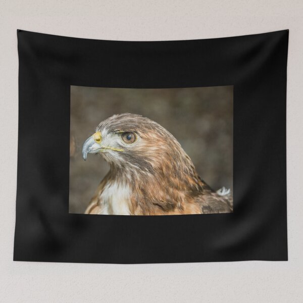 Item preview, Checking Things Out designed and sold by May Finch.