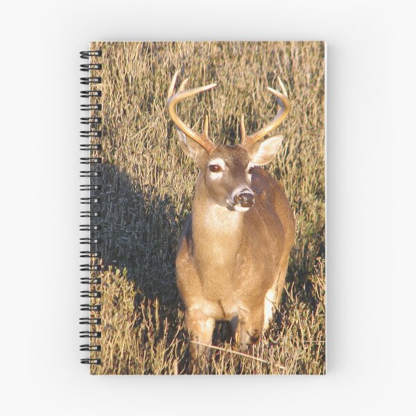 Item preview, I'm So Handsome designed and sold by Elizabeth "Tibby" Steedly.