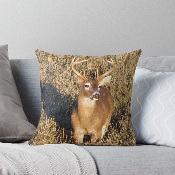 Item preview, I'm So Handsome designed and sold by Elizabeth "Tibby" Steedly.