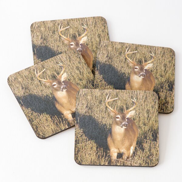 Item preview, I'm So Handsome designed and sold by Elizabeth "Tibby" Steedly.