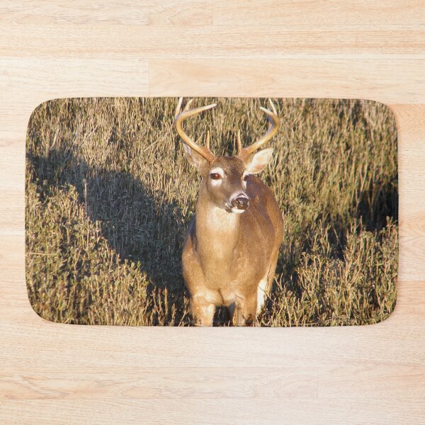 Item preview, I'm So Handsome designed and sold by Elizabeth "Tibby" Steedly.