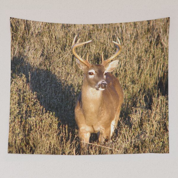 Item preview, I'm So Handsome designed and sold by Elizabeth "Tibby" Steedly.