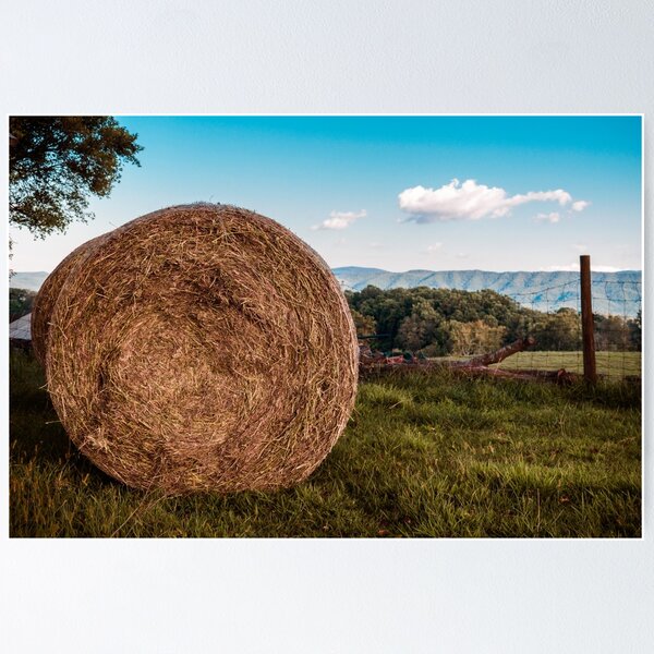 Item preview, Bale With A View designed and sold by Jim Love.
