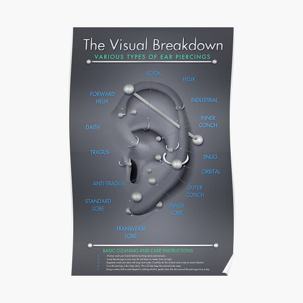 Ear Piercing Infographic Chart Poster