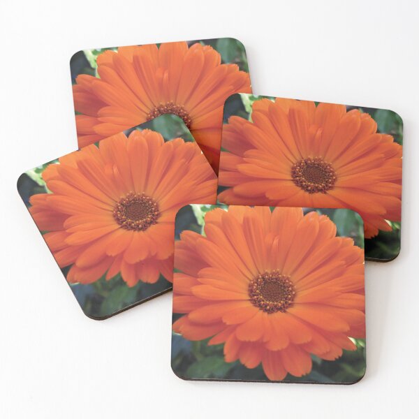 Item preview, Calendula Marigold designed and sold by Glenn-Patrick.