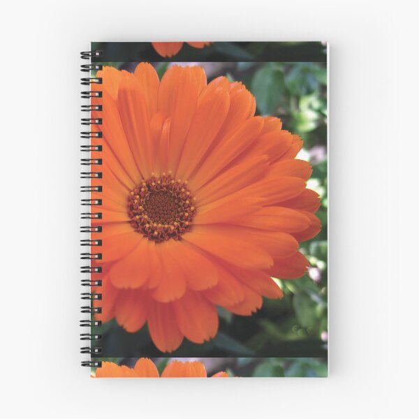 Item preview, Calendula Marigold designed and sold by Glenn-Patrick.