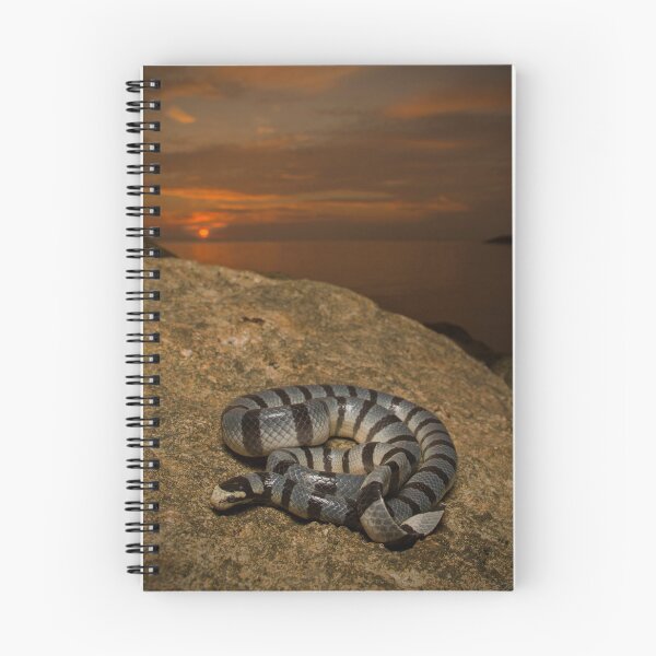 Item preview, Sunset on a Sea Krait designed and sold by CNZdenek.