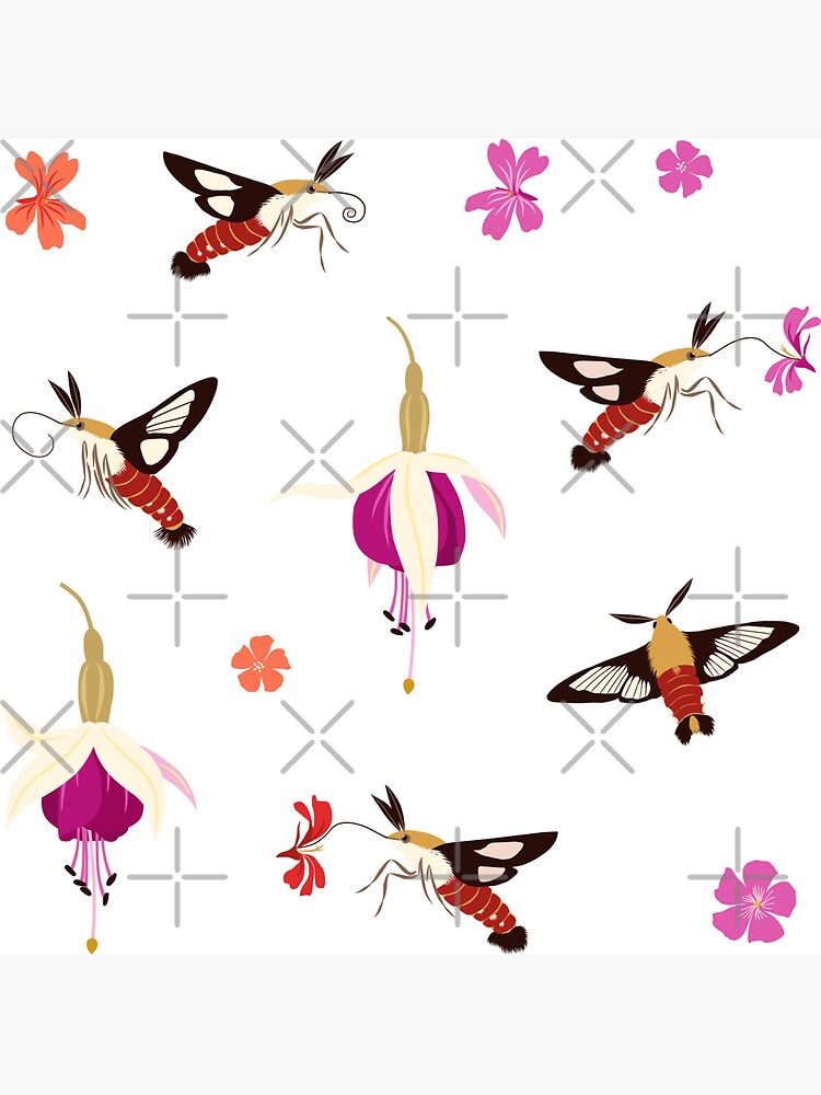 Hummingbird Moths (with stickers) by nadyanadya