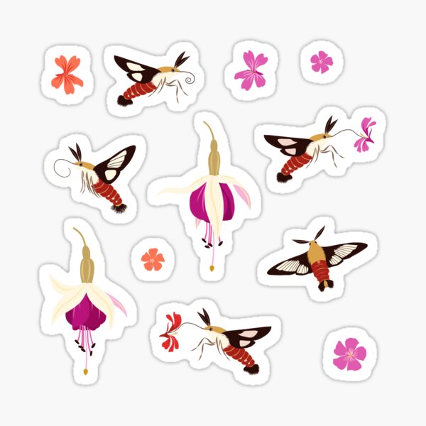 Hummingbird Moths (with stickers) Sticker