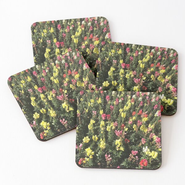 Aperçu de l'œuvre Fleurs créée et vendue par ClearSafe.