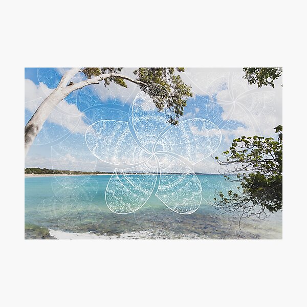 white frangipani mandala on noosa beach Photographic Print