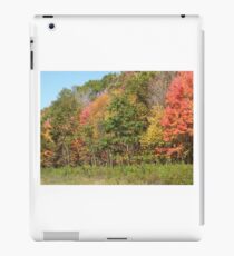 autumn trees iPad Case/Skin