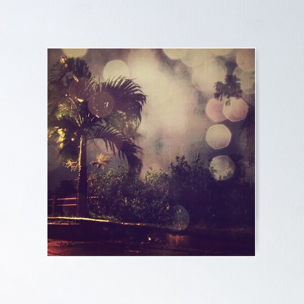 Palm tree and the night Poster
