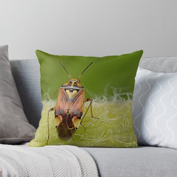 Item preview,  Colourful Shield bug  designed and sold by relayer51.