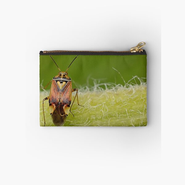 Item preview,  Colourful Shield bug  designed and sold by relayer51.