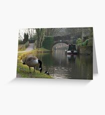 Quack Quack Greeting Card