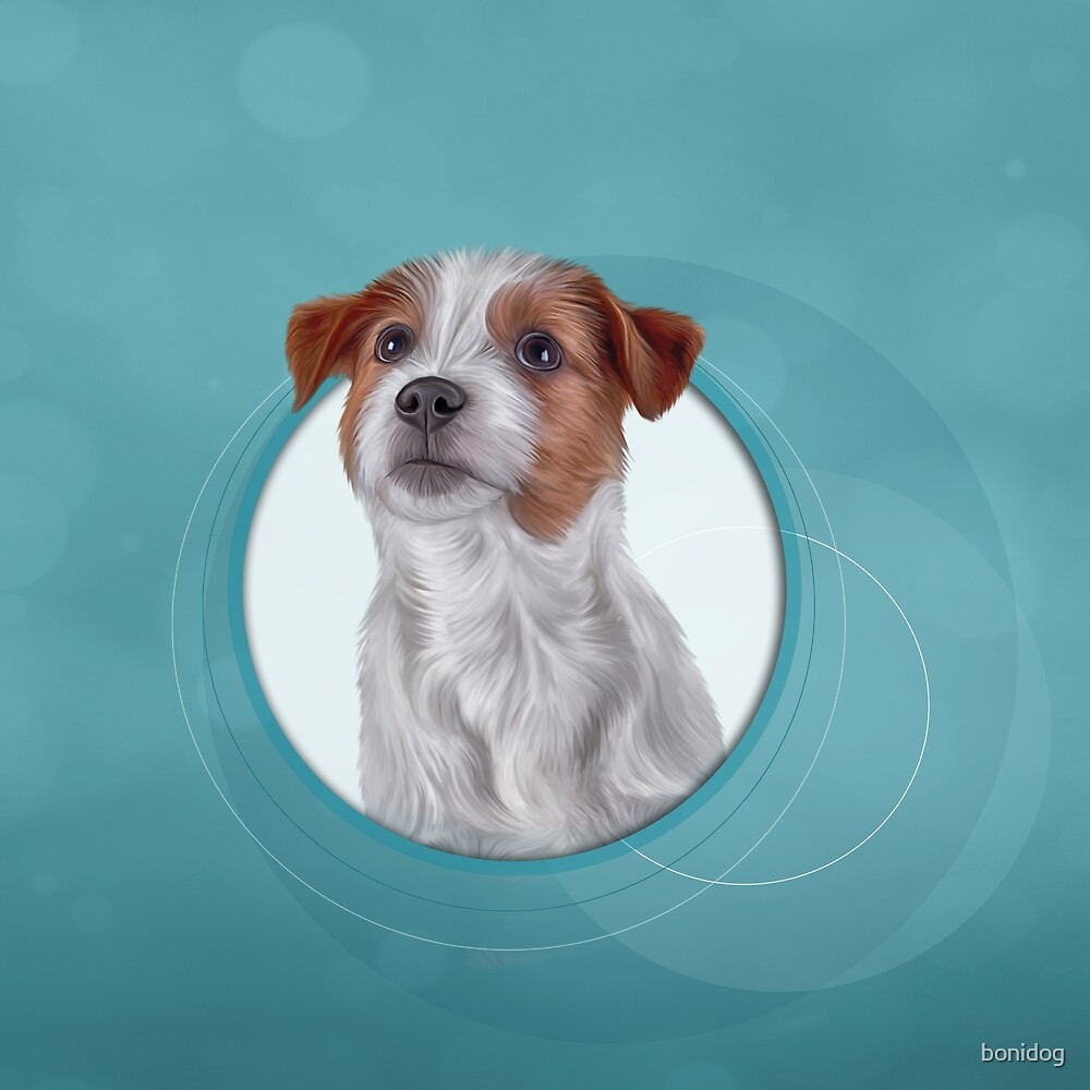 "Jack Russell Terrier. Drawing" by bonidog | Redbubble