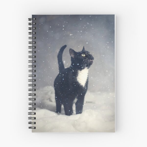 Item preview, Walking In A Winter Wonderland designed and sold by CathHolmesPhoto.