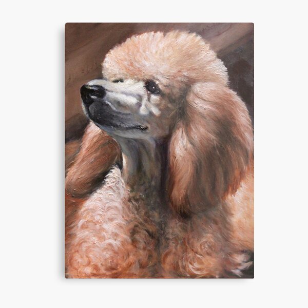 Christina Standard Poodle Metal Print