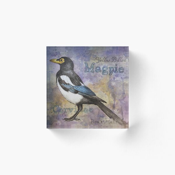 Yellow Billed Magpie Watercolor Acrylic Block