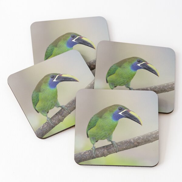 Item preview, Toucanet designed and sold by mlorenz.
