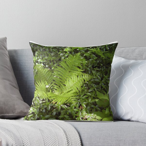 Aperçu de l'œuvre ferns créée et vendue par ssphotoshop.