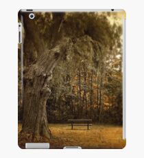 Autumn Respite iPad Case/Skin